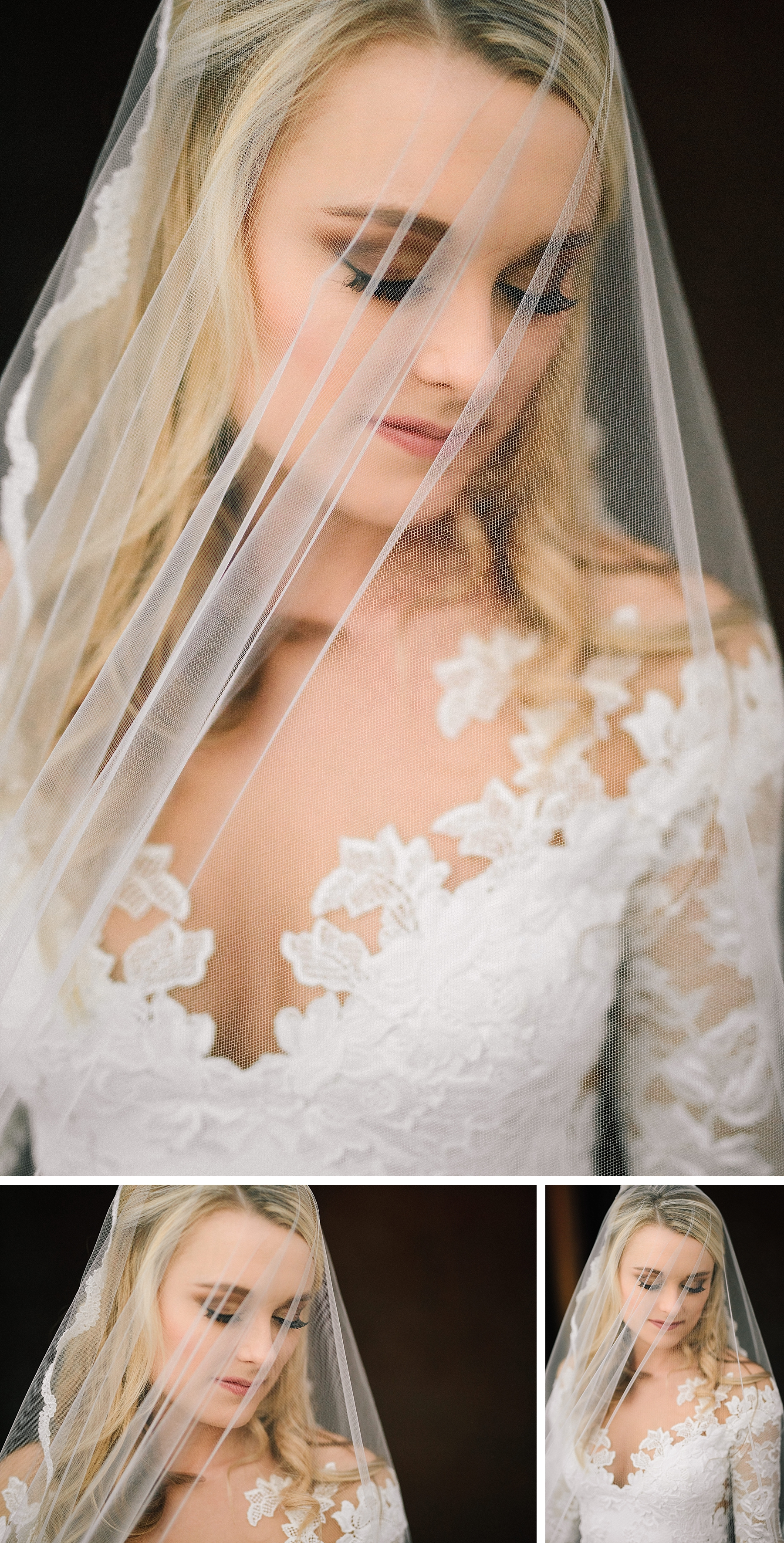 bridal portraits veil and wedding dress
