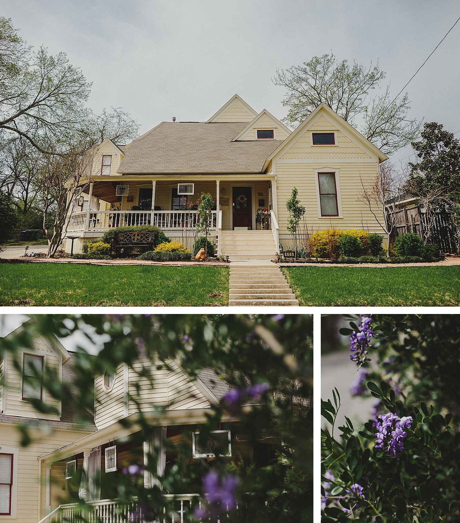 photos of McKinney bed and breakfast 