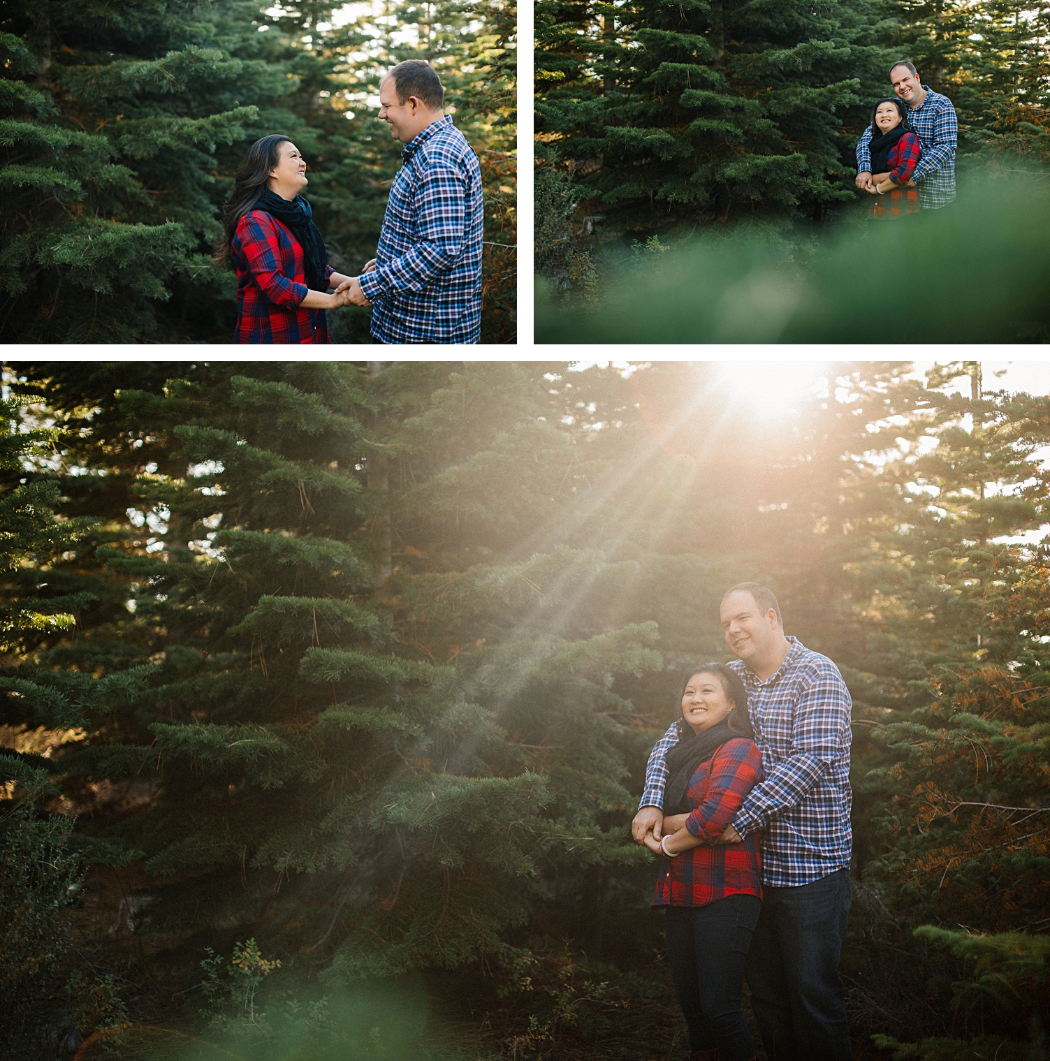 Lake Tahoe engagement session in the forest