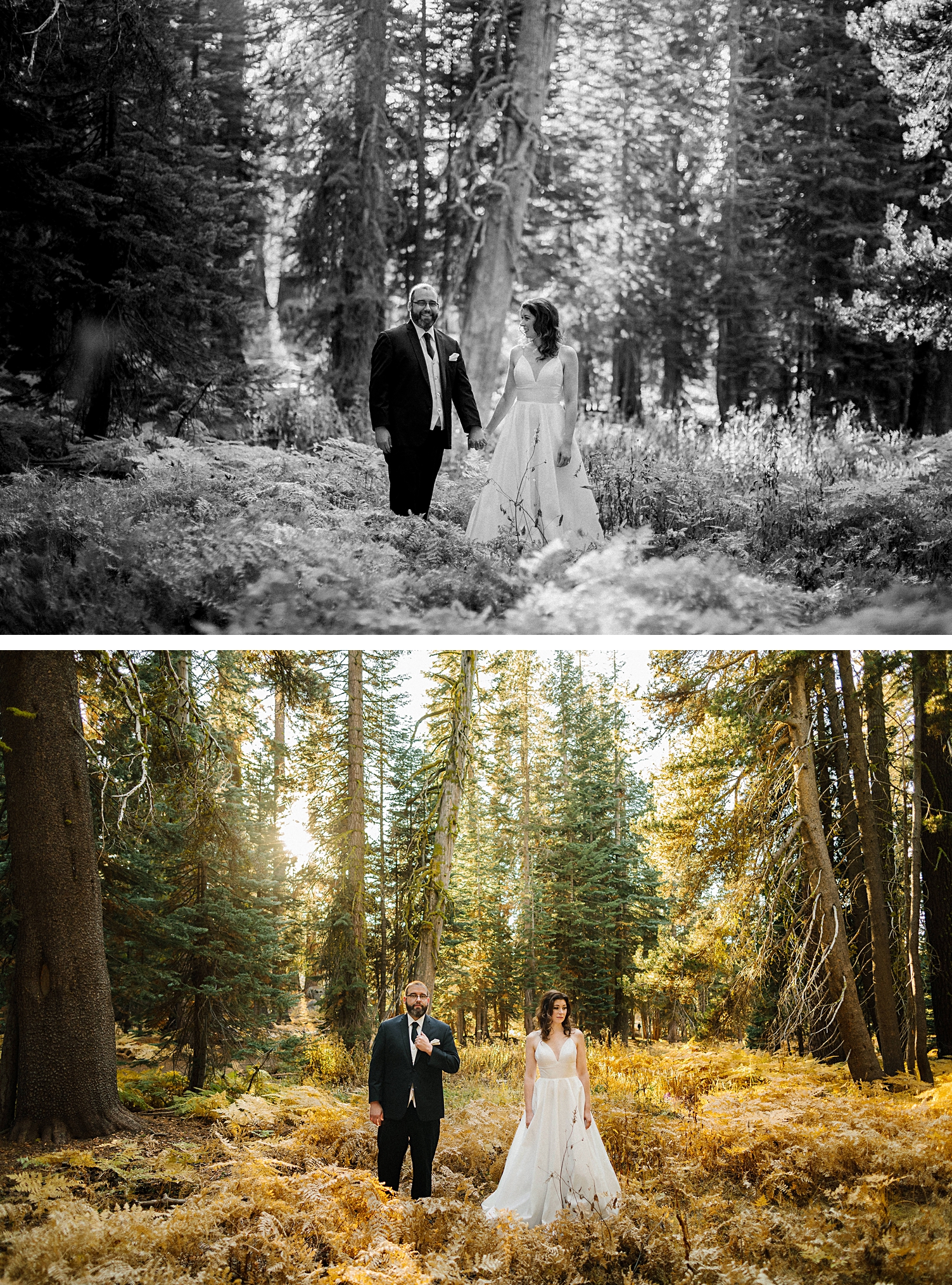 Yosemite Wedding fall elopement Photographer
