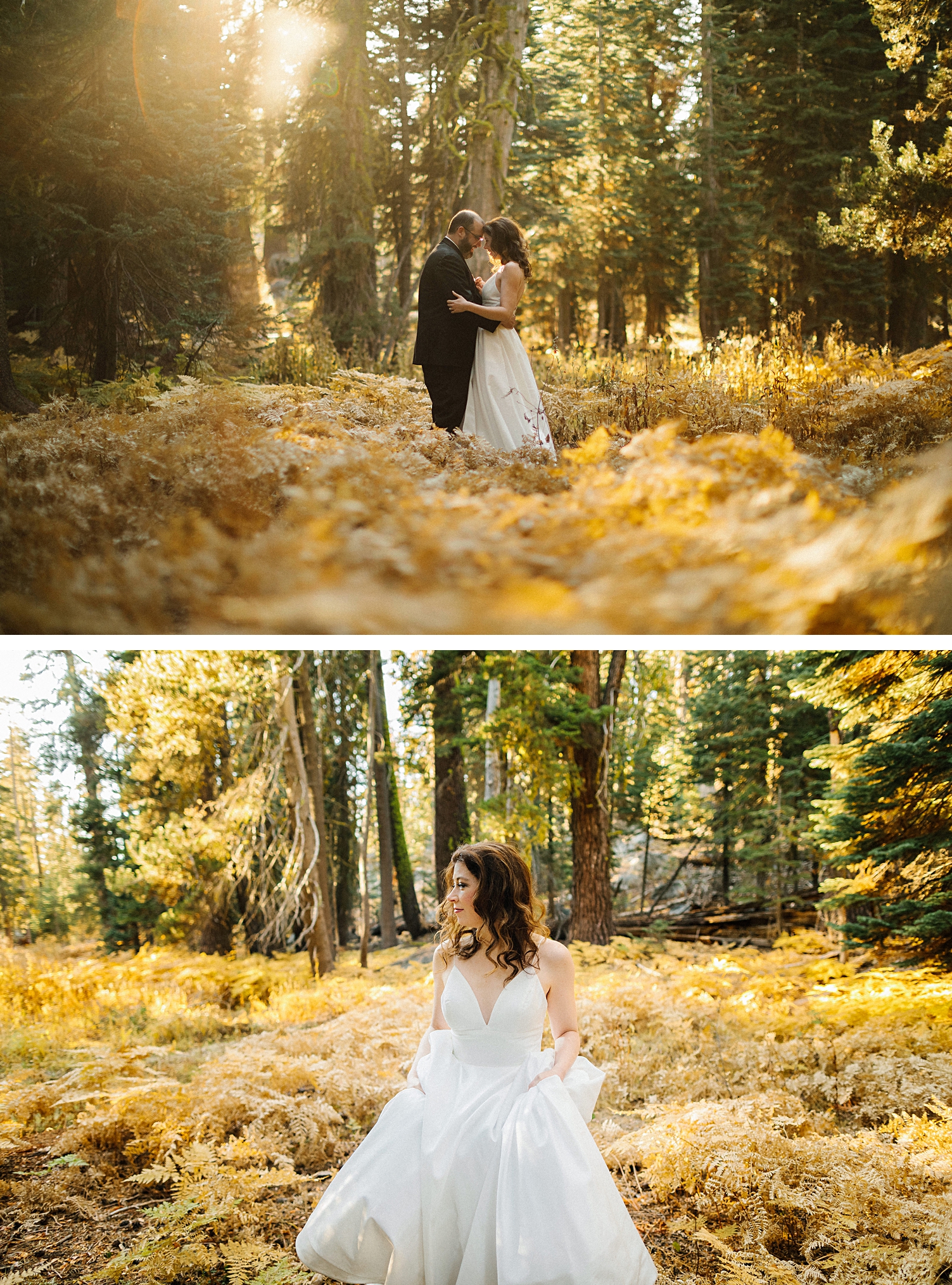 Yosemite national park Wedding Photographer