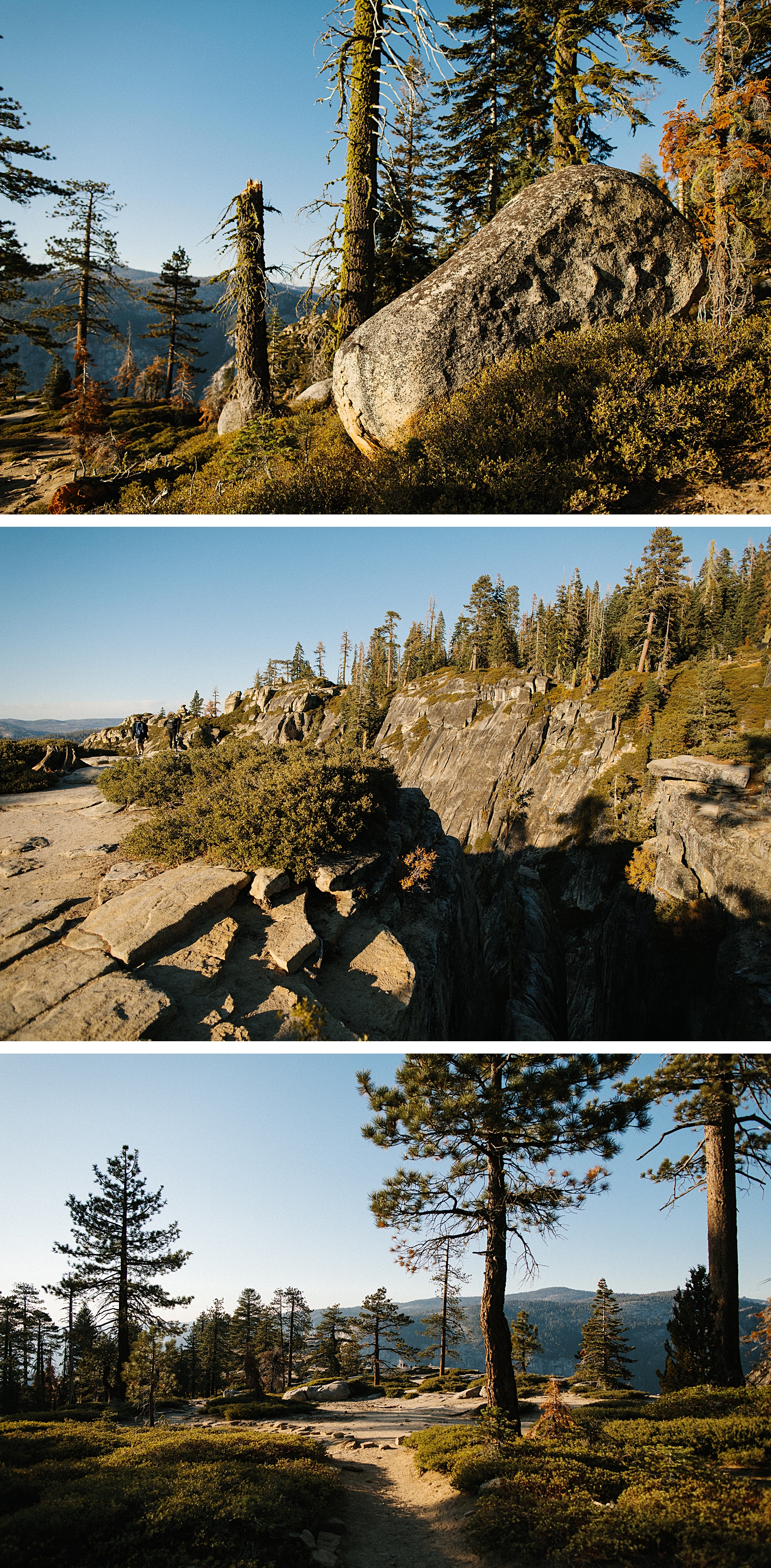Yosemite Taft Point California