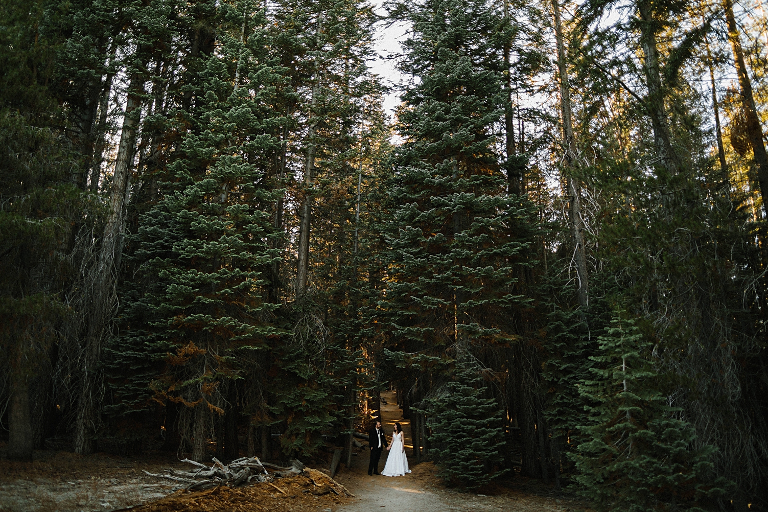 Yosemite Wedding elopement Photographer
