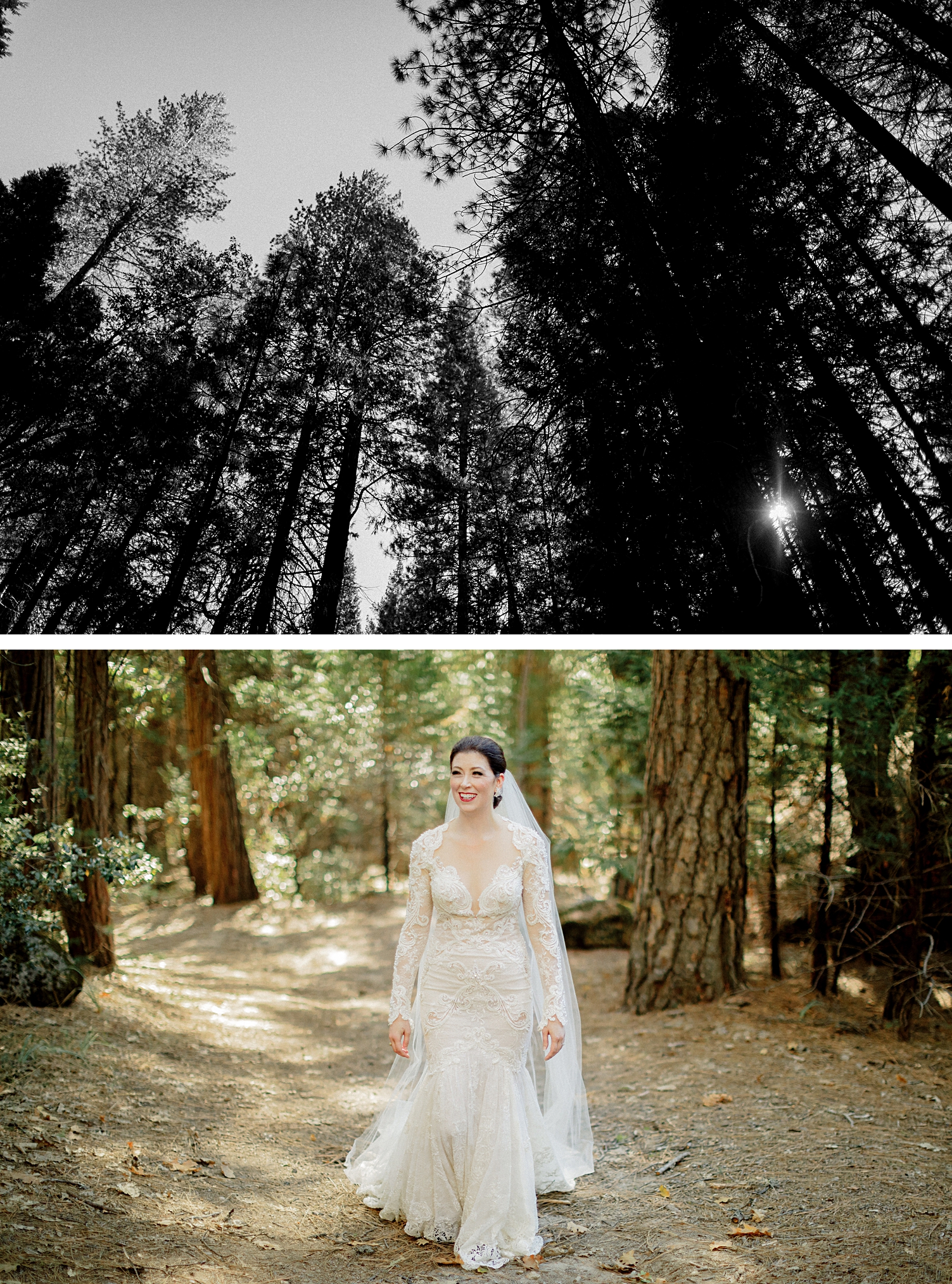 Yosemite Wedding bride dress