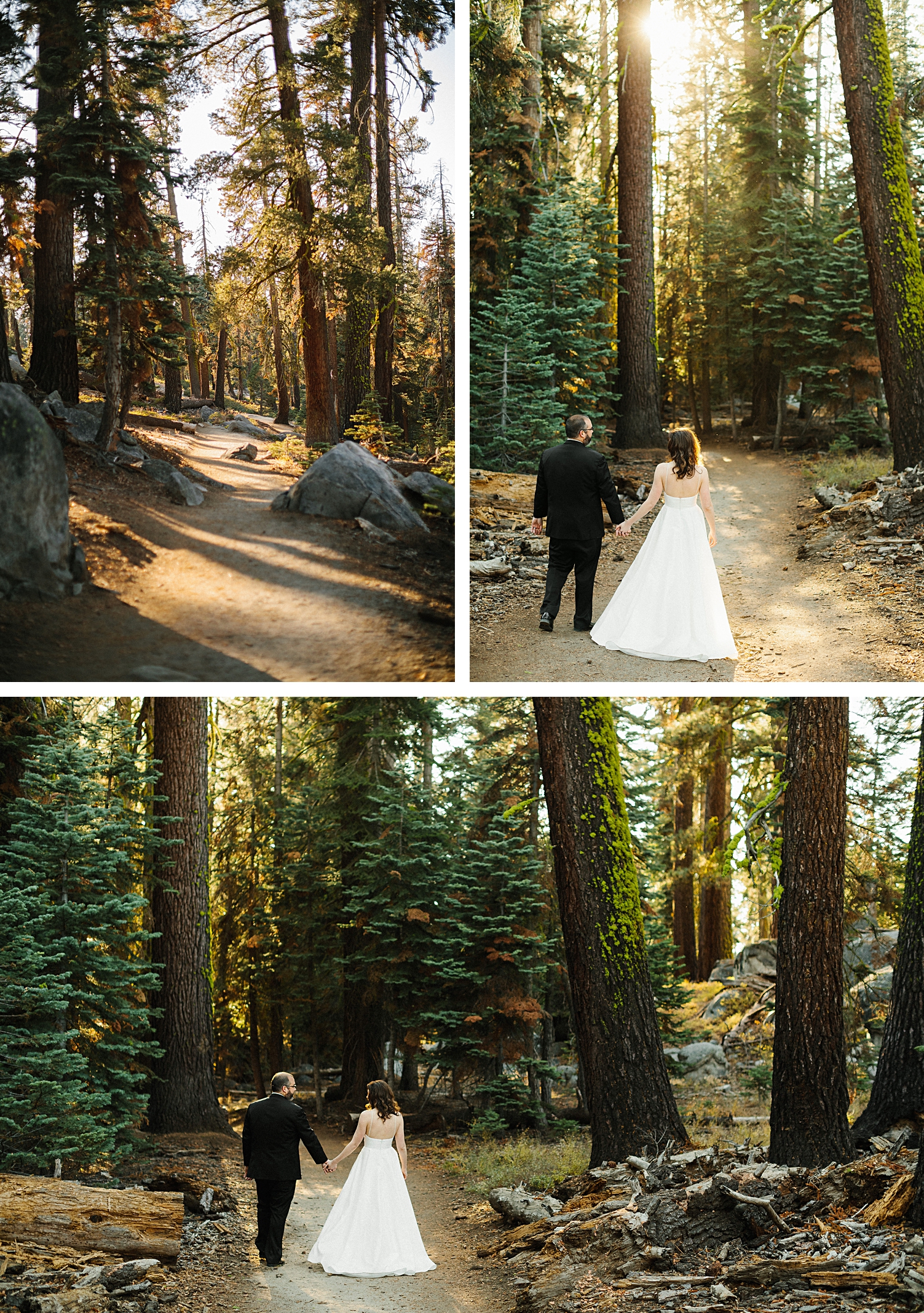 adventure Yosemite Wedding Photographer