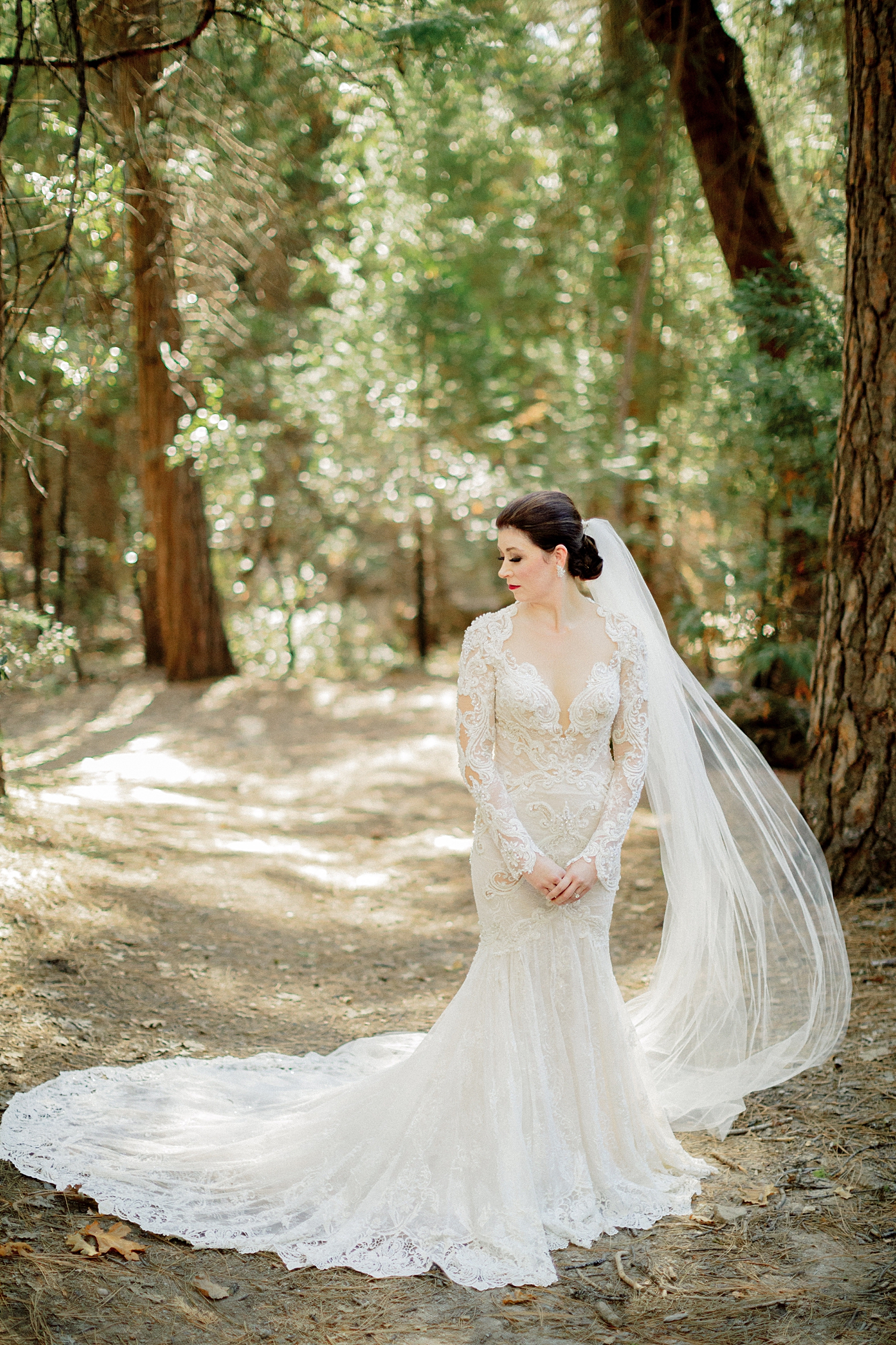 Yosemite Wedding bridal