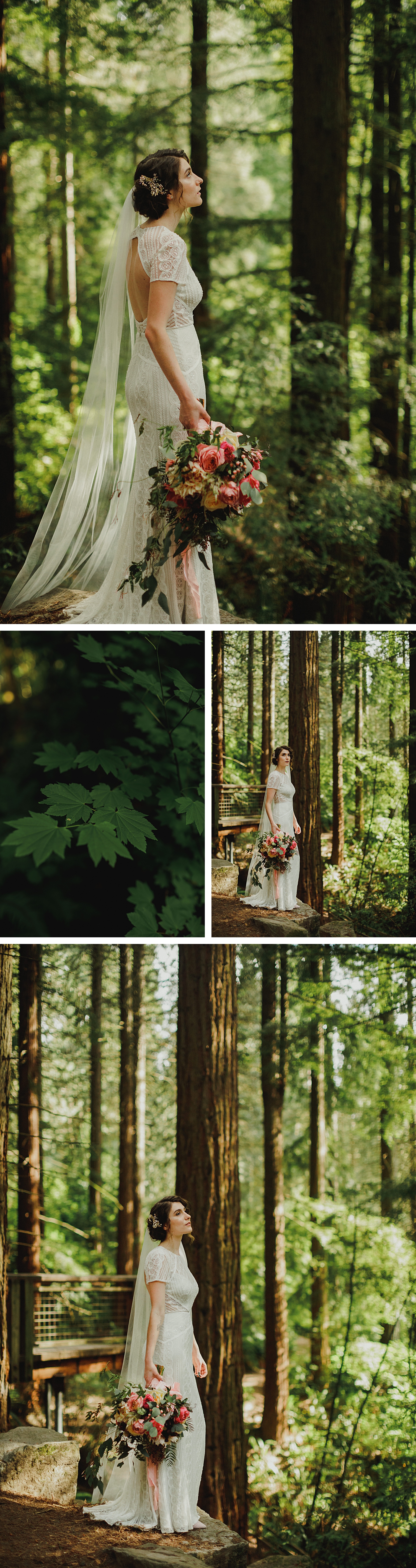 Portland Oregon wedding at Hoyt Arboretum Bride redwoods