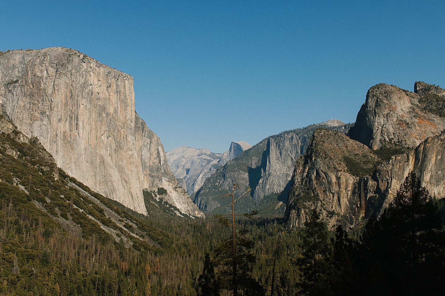 Yosemite wedding venues elopement photographer Tunnel View