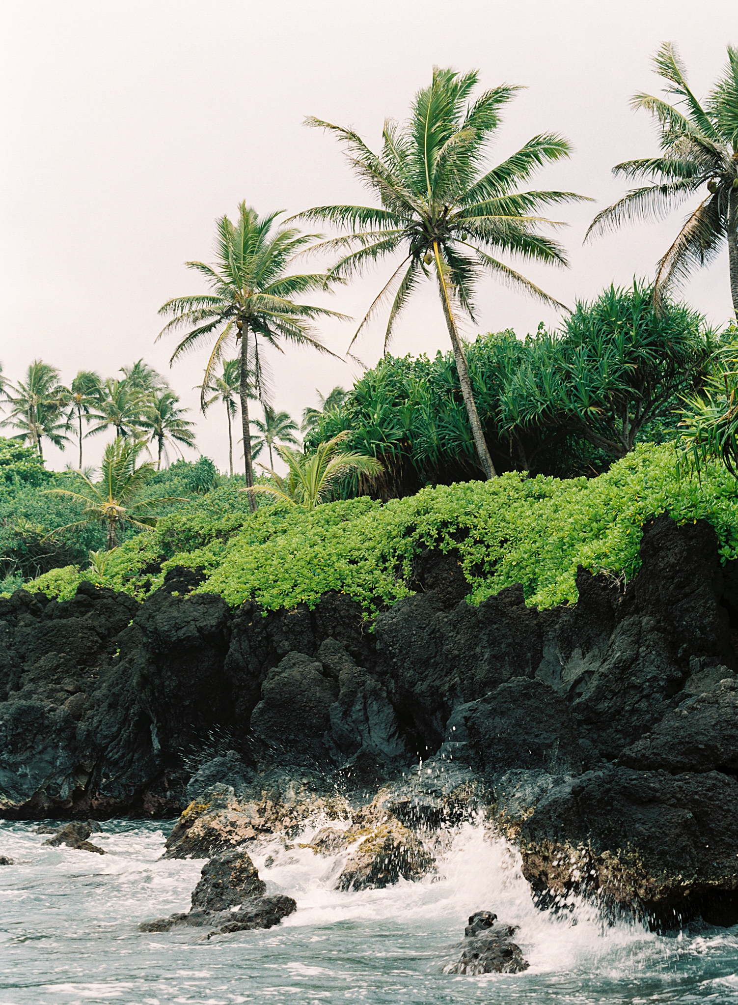 Honokalani palm trees Maui beach Hana waves
