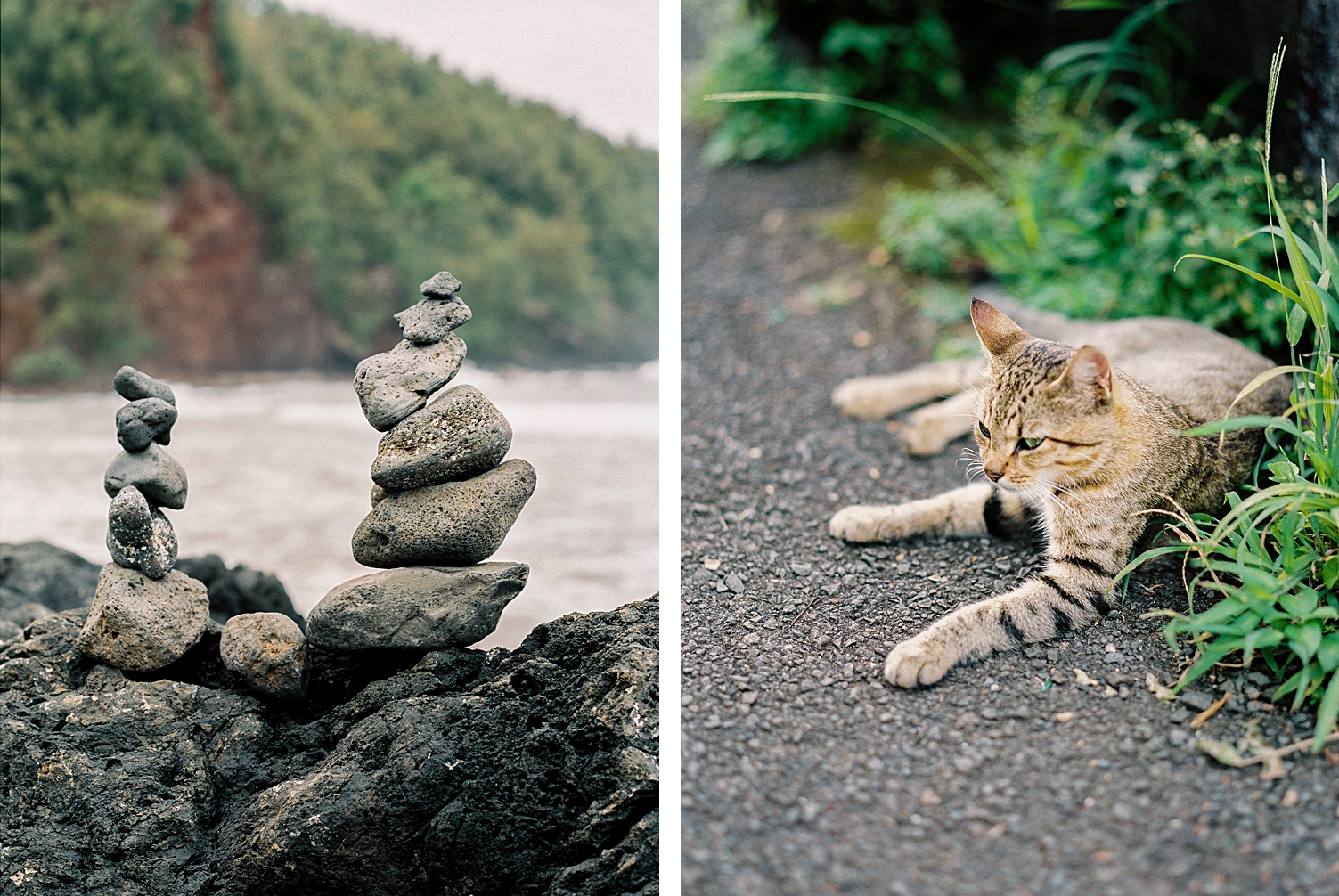 Koki Beach Park rock stacks wild cat Hawaii