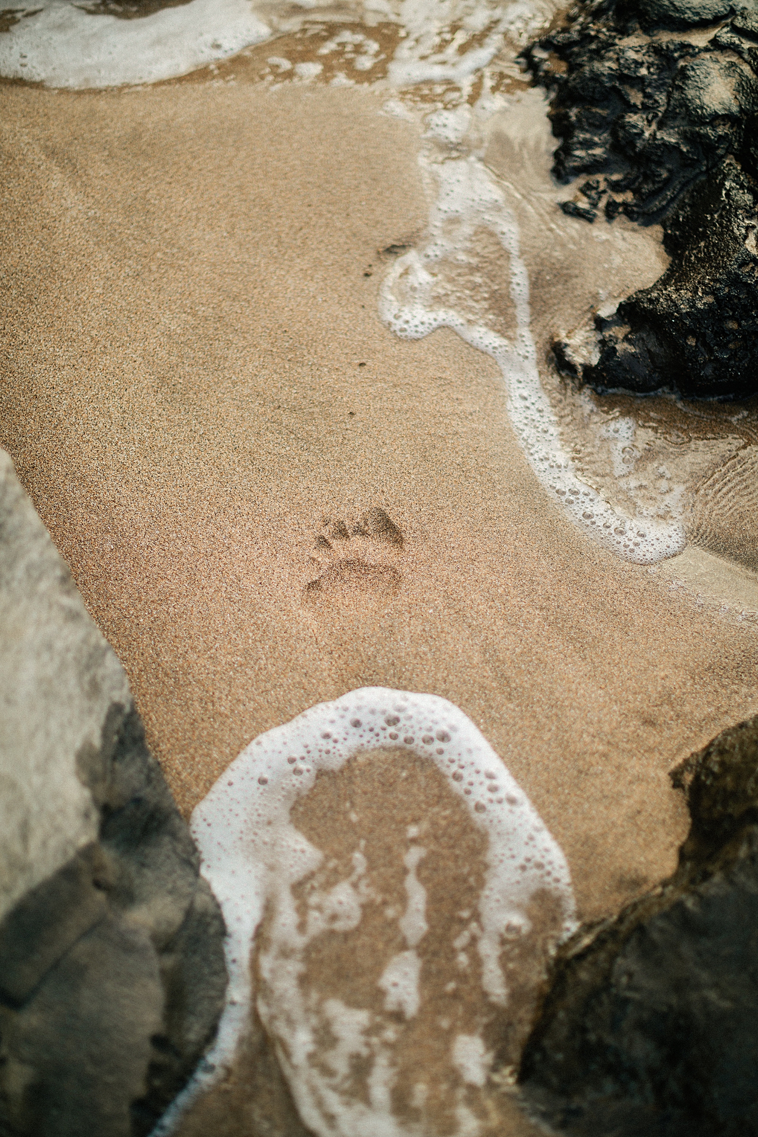 footprint in sand on maui beach slaughterhouse