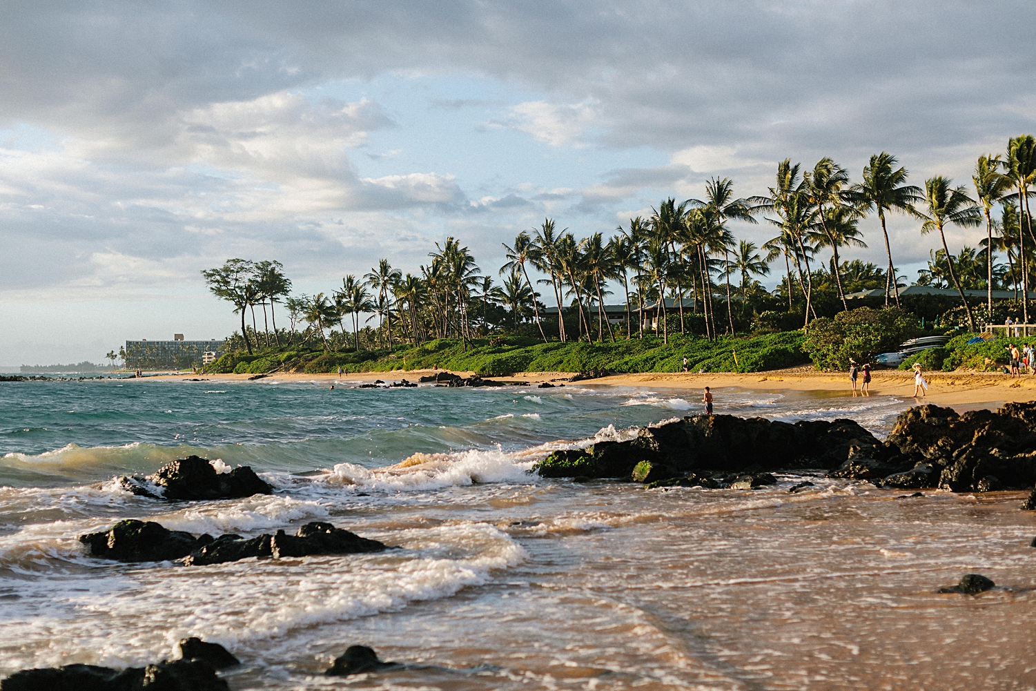 wailea beach Maui Hawaii palm trees