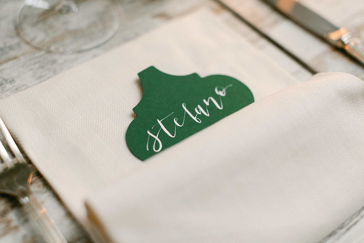 Green Name card at wedding reception with Stefano writer in white cursive font