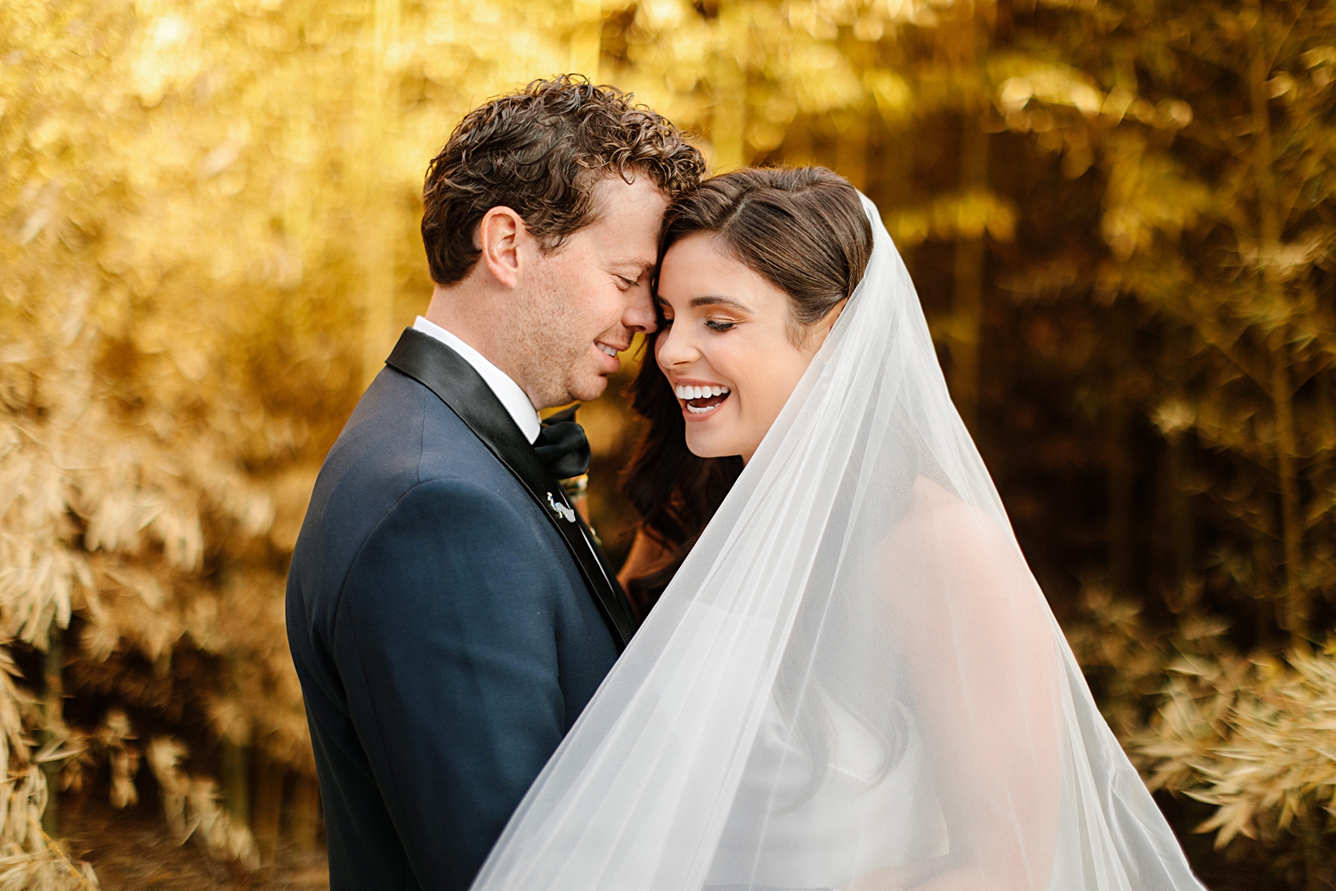 bride and groom embracing laughing behind veil in front of golden plants matties austin wedding
