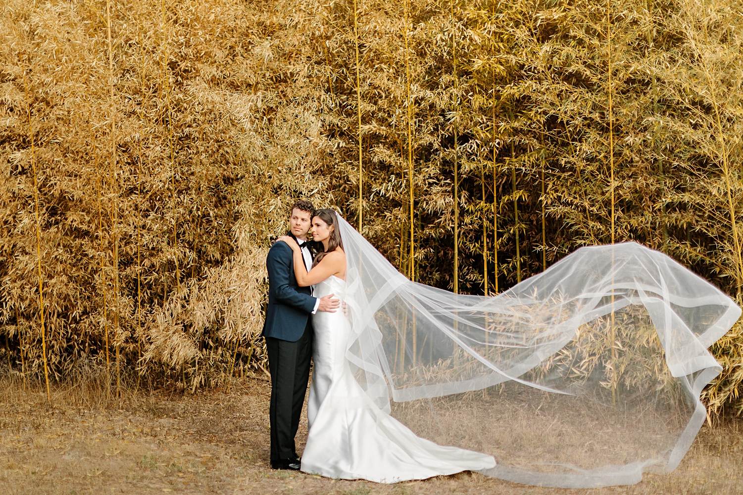 bride and groom embracing with long veil in front of golden plants