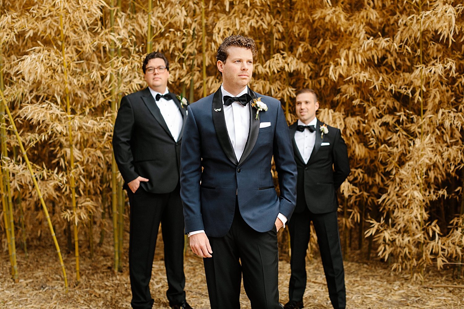 Groom in blue tuxedo standing in front of two groomsmen in black by golden plants at Mattie's At Green Pastures