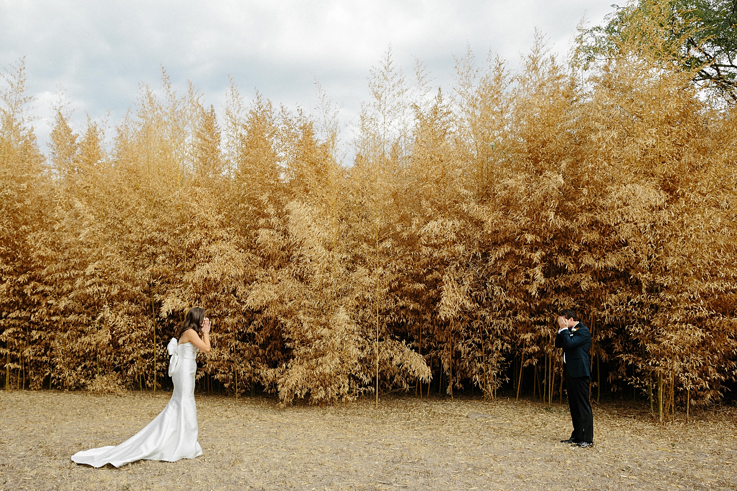 brideand groom seeing each other first time wedding look reaction in front of golden plants Matties Austin