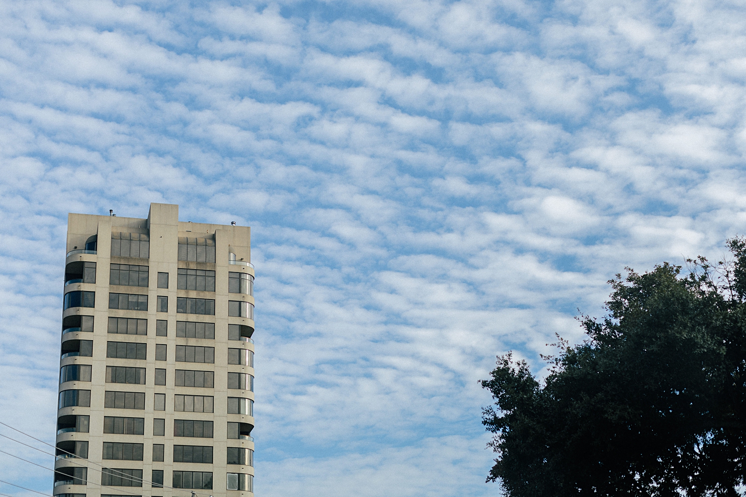 high rise building and tree against blue sky and white clouds