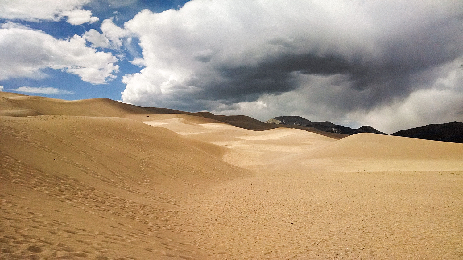 Desert sand dunes Colorado landscape