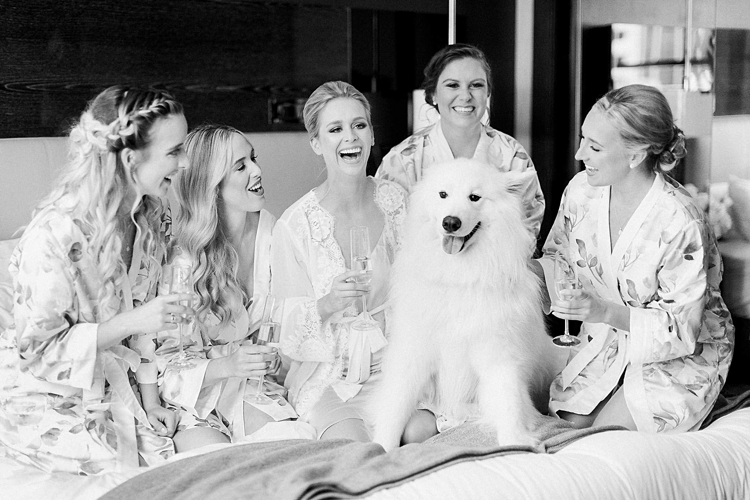 Bride and bridesmaids laughing in robes on bed with dog black and white