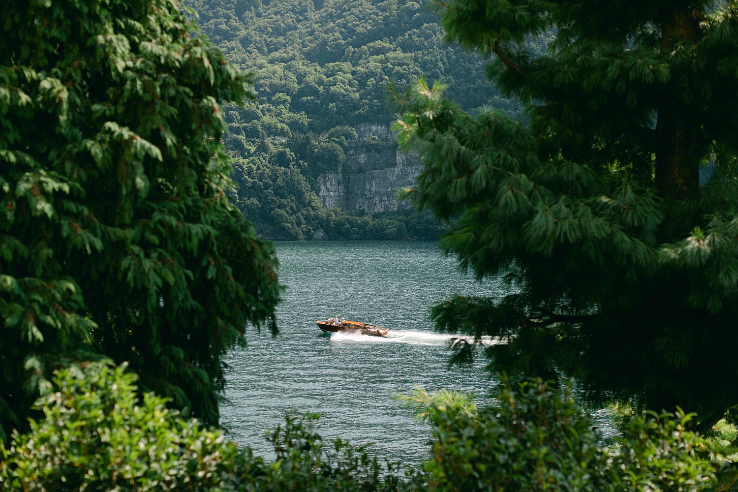 wooden speedboat on lake between green trees