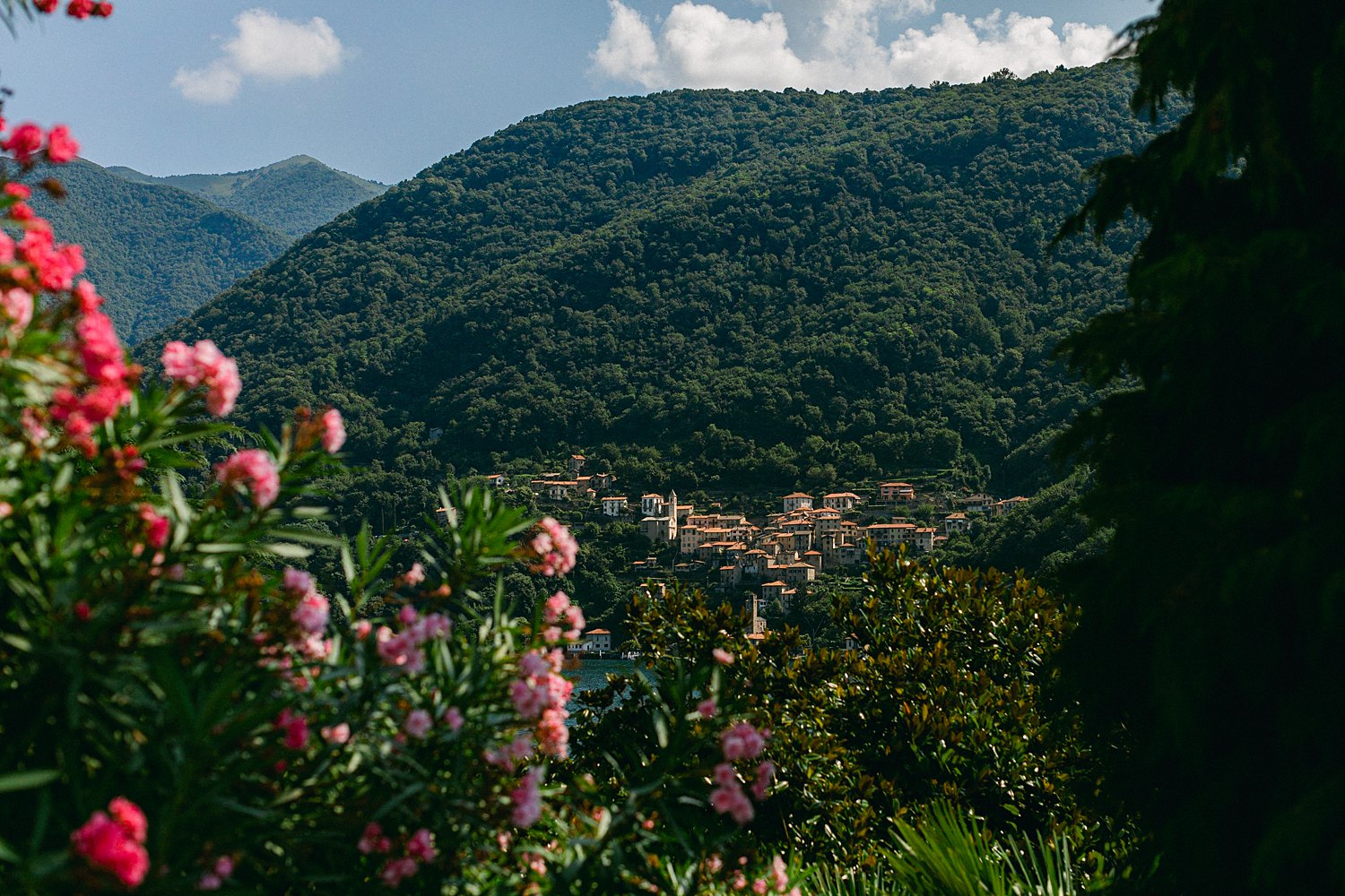View of Lake Como Italy town on green mountains pink flowers