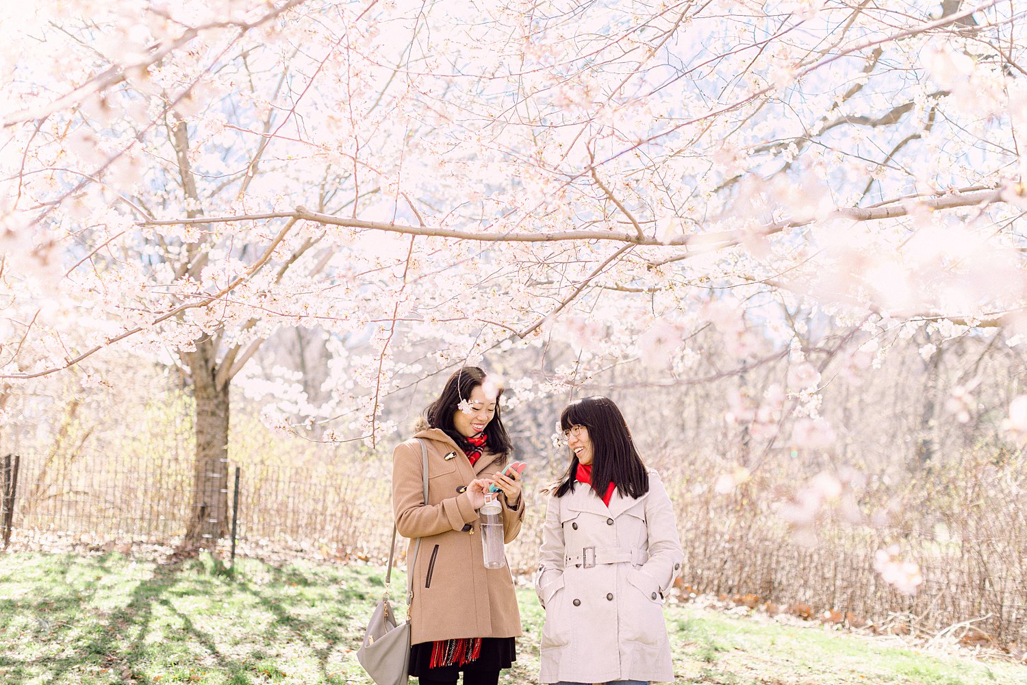 two women standing under pink cherry blossoms blooming Spring NYC