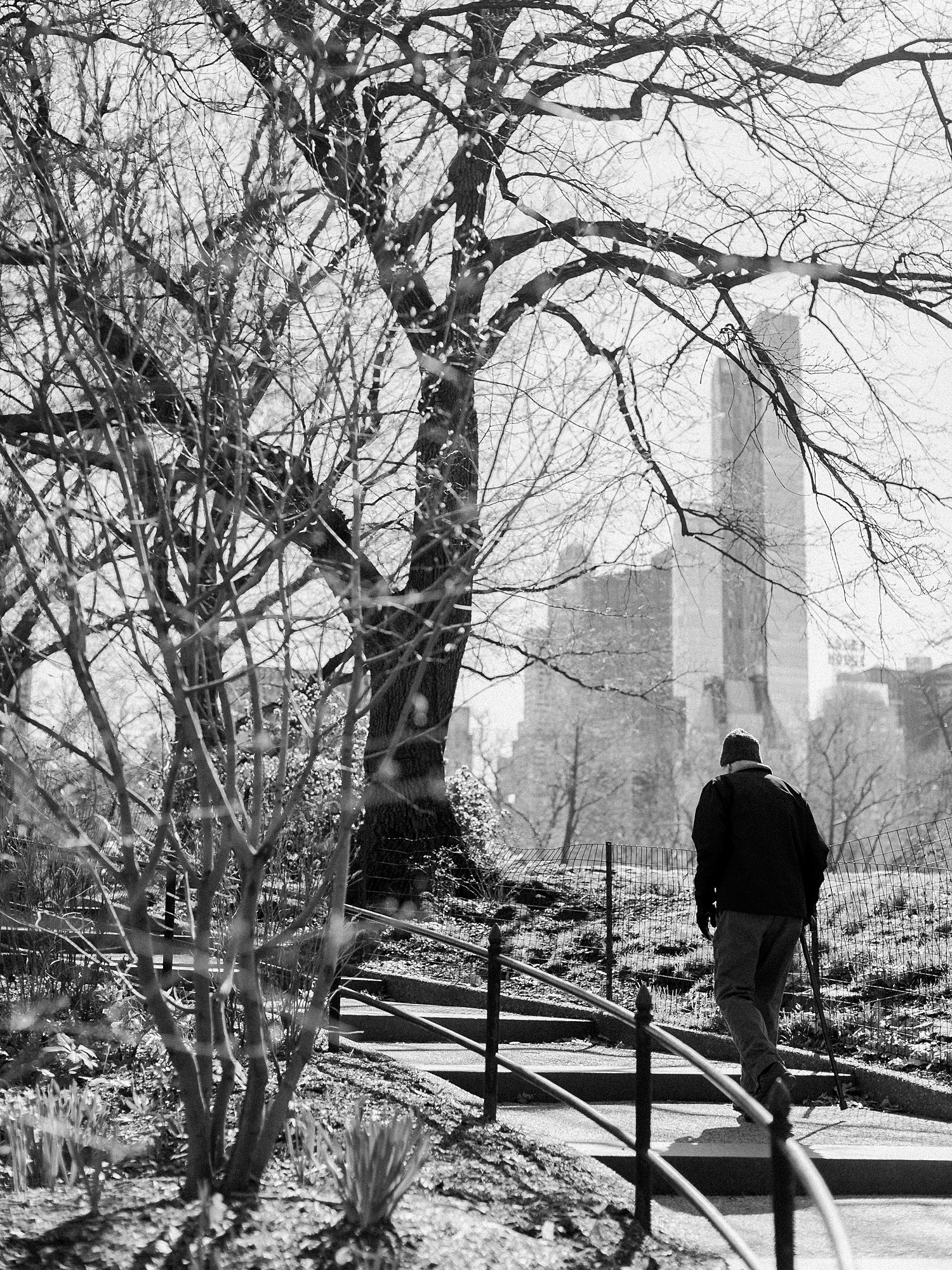 black and white man walking up stairs in central Park NYC