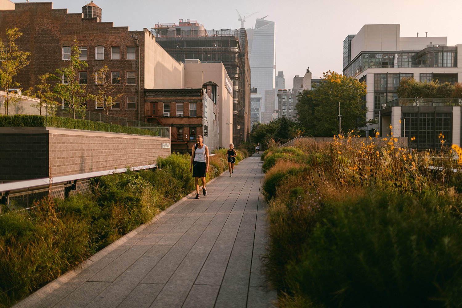 The High Line NYC chelsea in early morning light