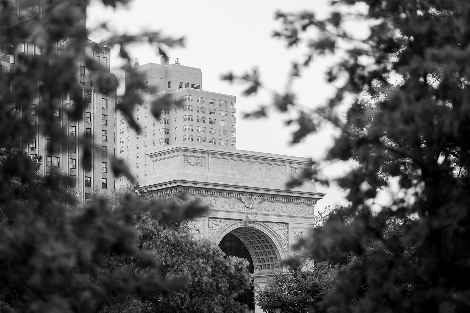 Washington square arch among trees black and white New York