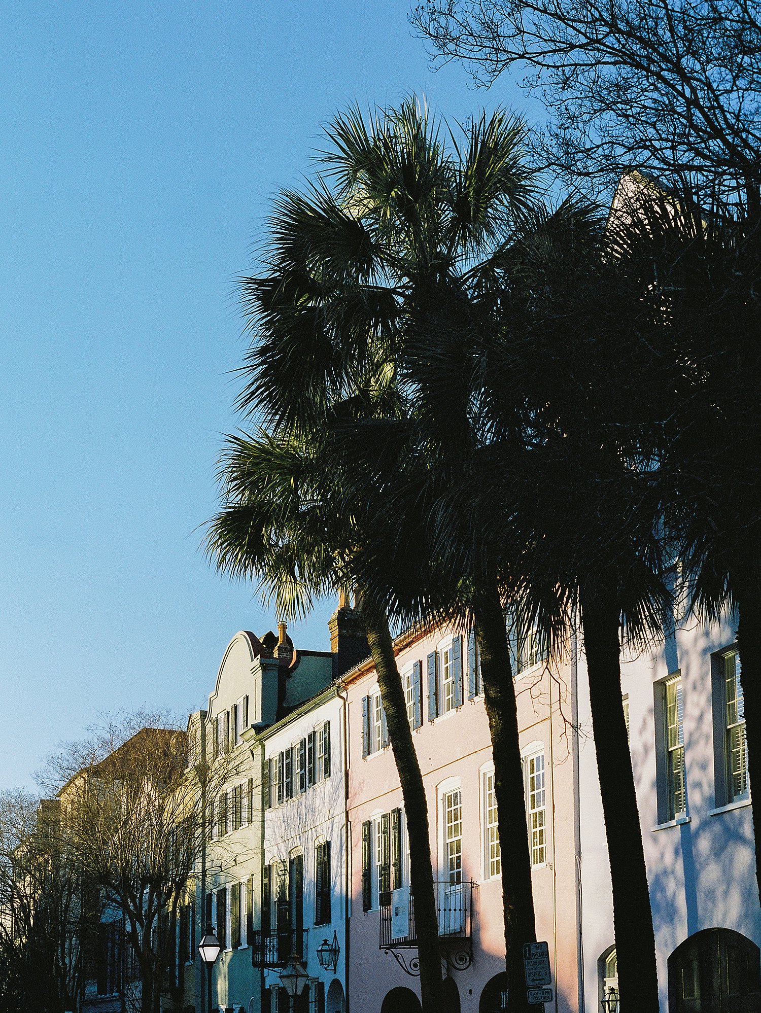 Rainbow row buildings behind palm trees in Charleston South Carolina