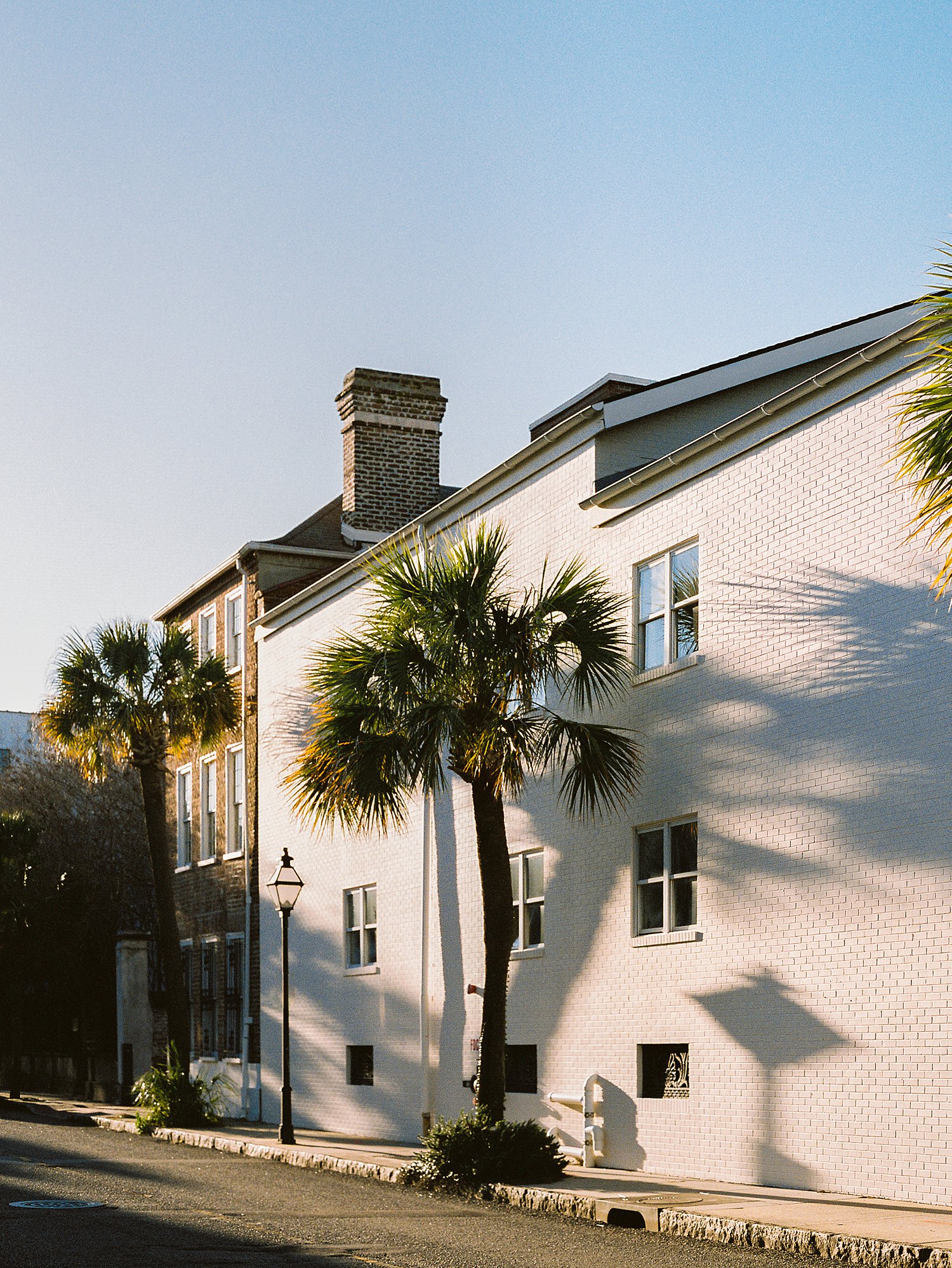 Home and palm tree lined street in Charleston SC