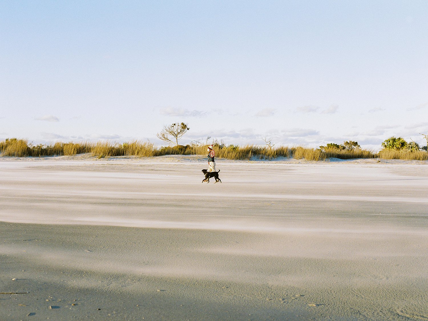 Windswept beach with man walking black dog in sand and blue sky