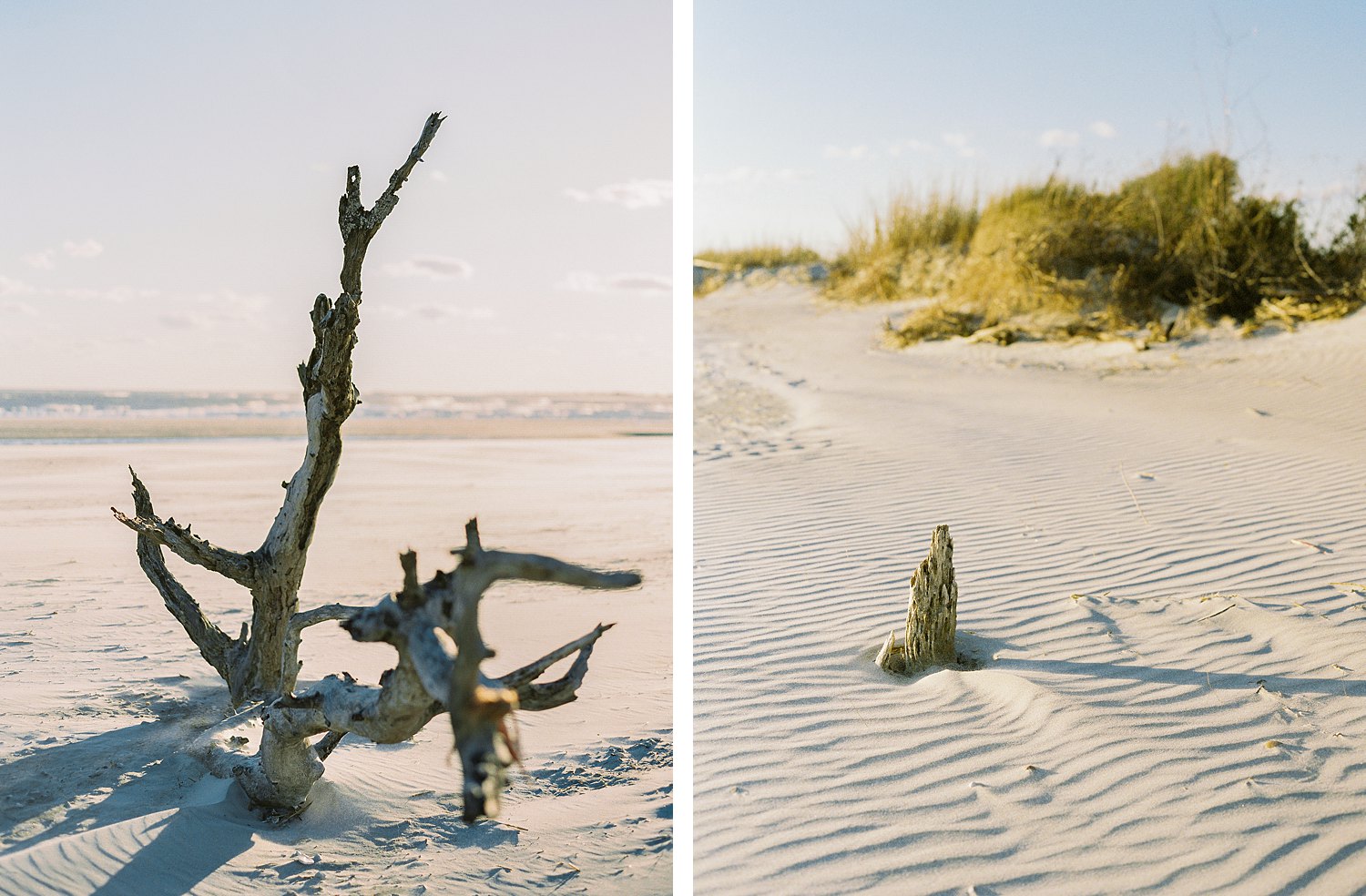 Windswept beach with tree trunk in sand