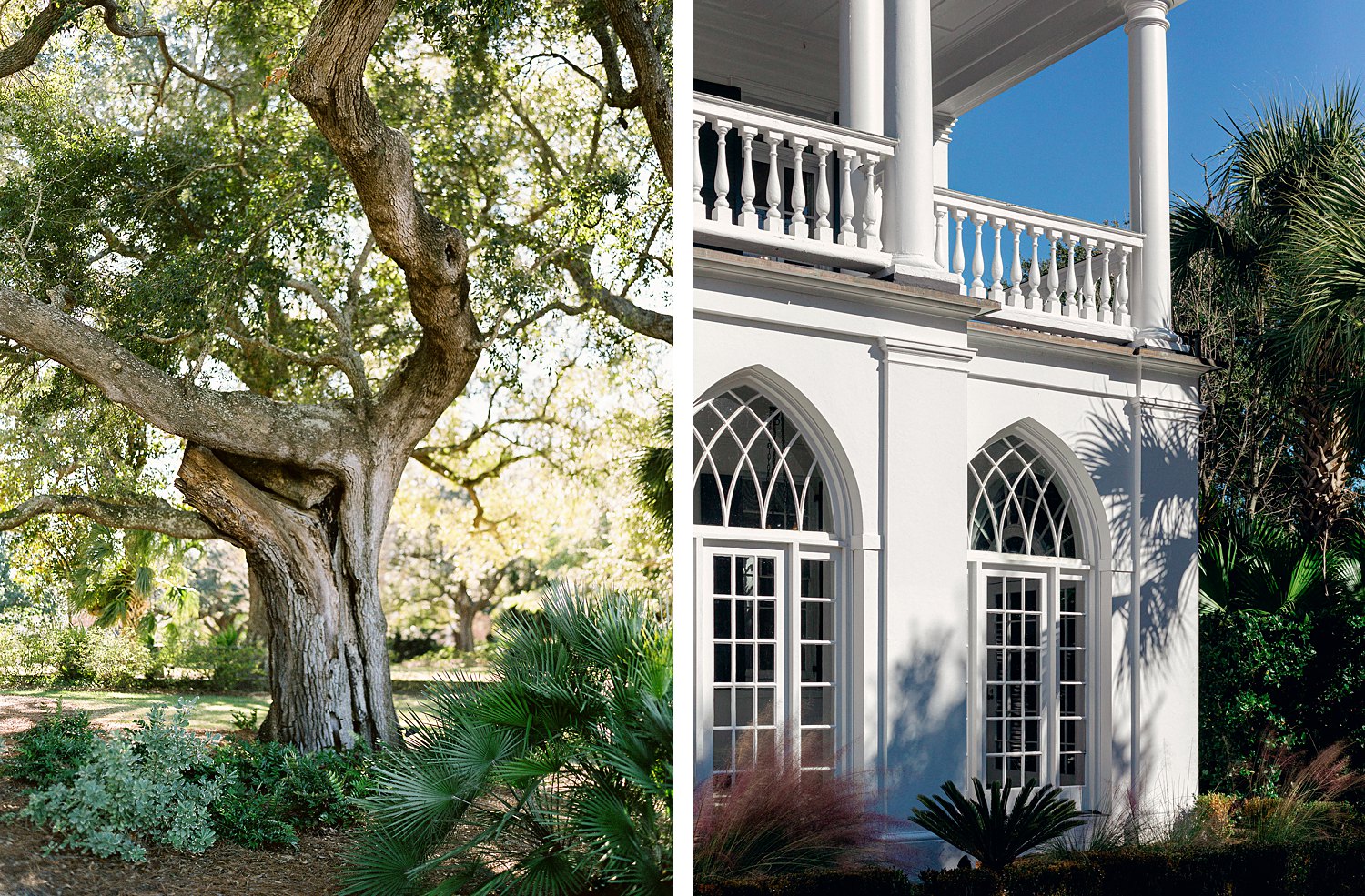 Lowndes Grove Venue white southern mansion large tree columns